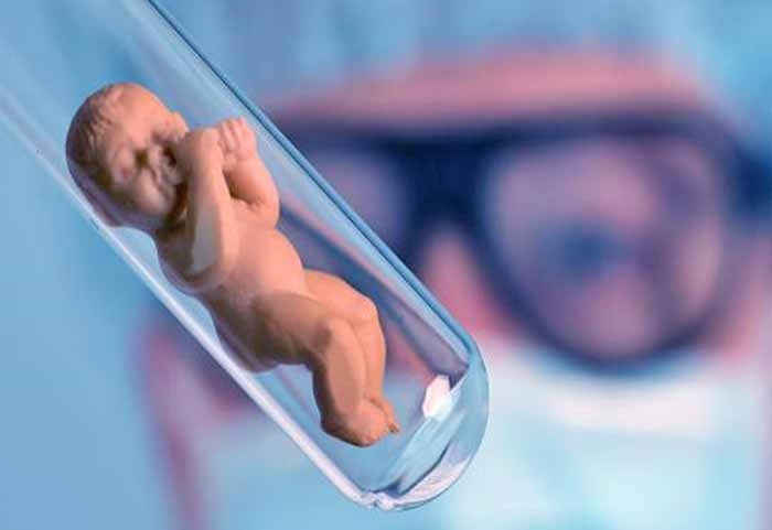 Cost of Embryo Donor in Georgia