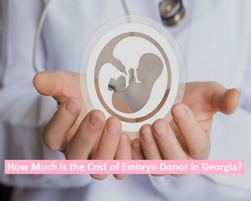 Cost of Embryo Donor in Georgia