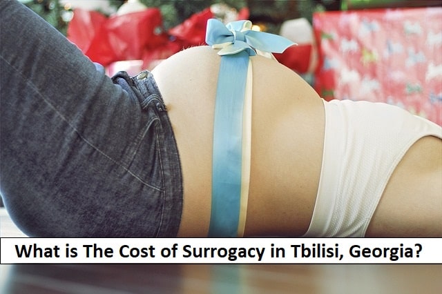 cost of surrogacy in tbilisi georgia 2020