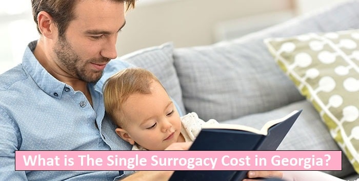 single surrogacy cost in georgia 2020